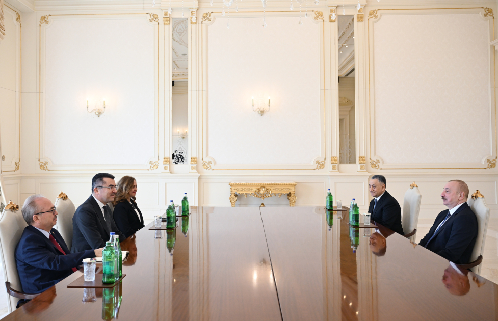 Президент Ильхам Алиев принял генерального секретаря Совета национальной безопасности Турции (ФОТО)