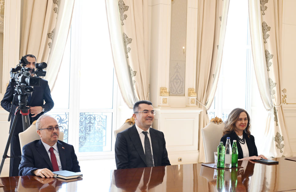 Президент Ильхам Алиев принял генерального секретаря Совета национальной безопасности Турции (ФОТО)