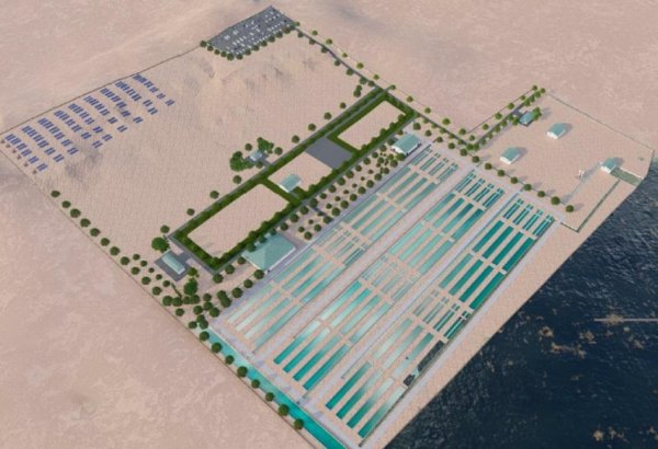 Swiss investors to launch major caviar production facility in Kazakhstan’s Mangistau