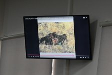 На суде заслушаны показания об оккупации армянской армией территорий Азербайджана и убийстве мирных жителей (ФОТО)