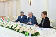 Обсуждено стратегическое партнерство между Азербайджаном и Венгрией (ФОТО)