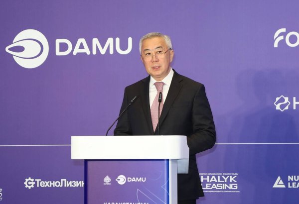 Kazakhstan discloses volume of state support for national business in 2024