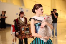 В Центре Гейдара Алиева состоялось открытие выставки бразильского художника Луиса де Соузы (ФОТО/ВИДЕО)