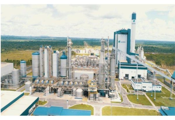 Kazakhstan to raise first reed-based paper mill in its Almaty region