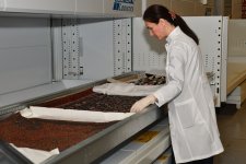 Экскурсия в закрытые фонды азербайджанского музея: кто они – "бойцы невидимого фронта" (ФОТО)