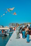 На побережье Каспия в Баку создана курортная экосистема с яхтами (ФОТО)