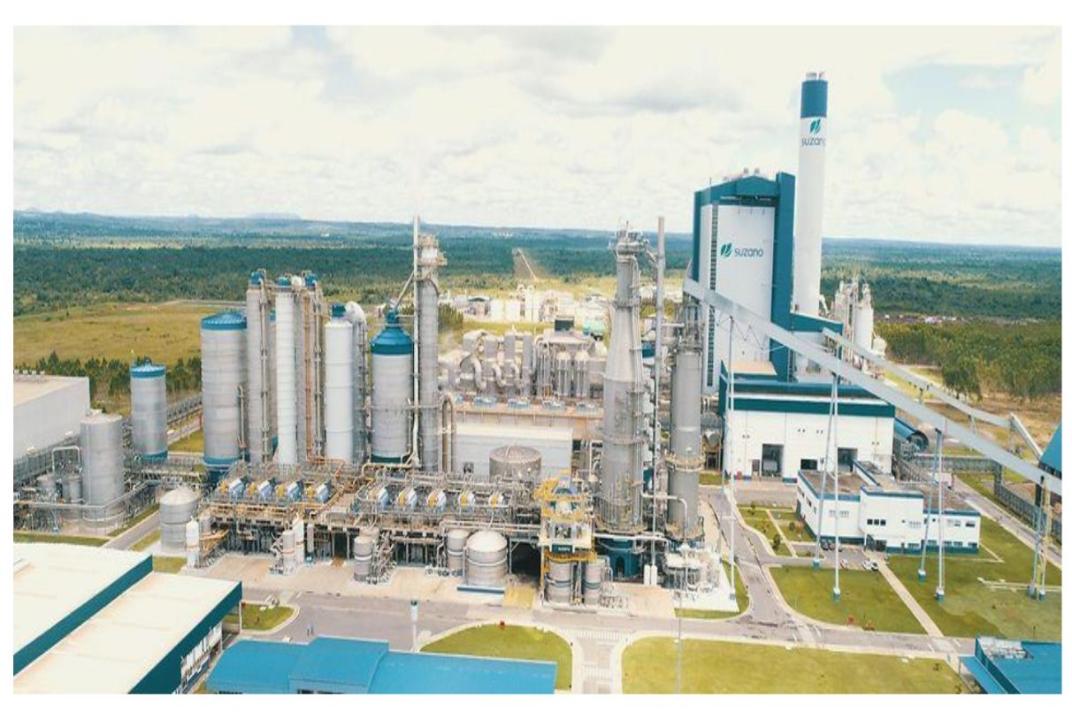 Kazakhstan to raise first reed-based paper mill in its Almaty region