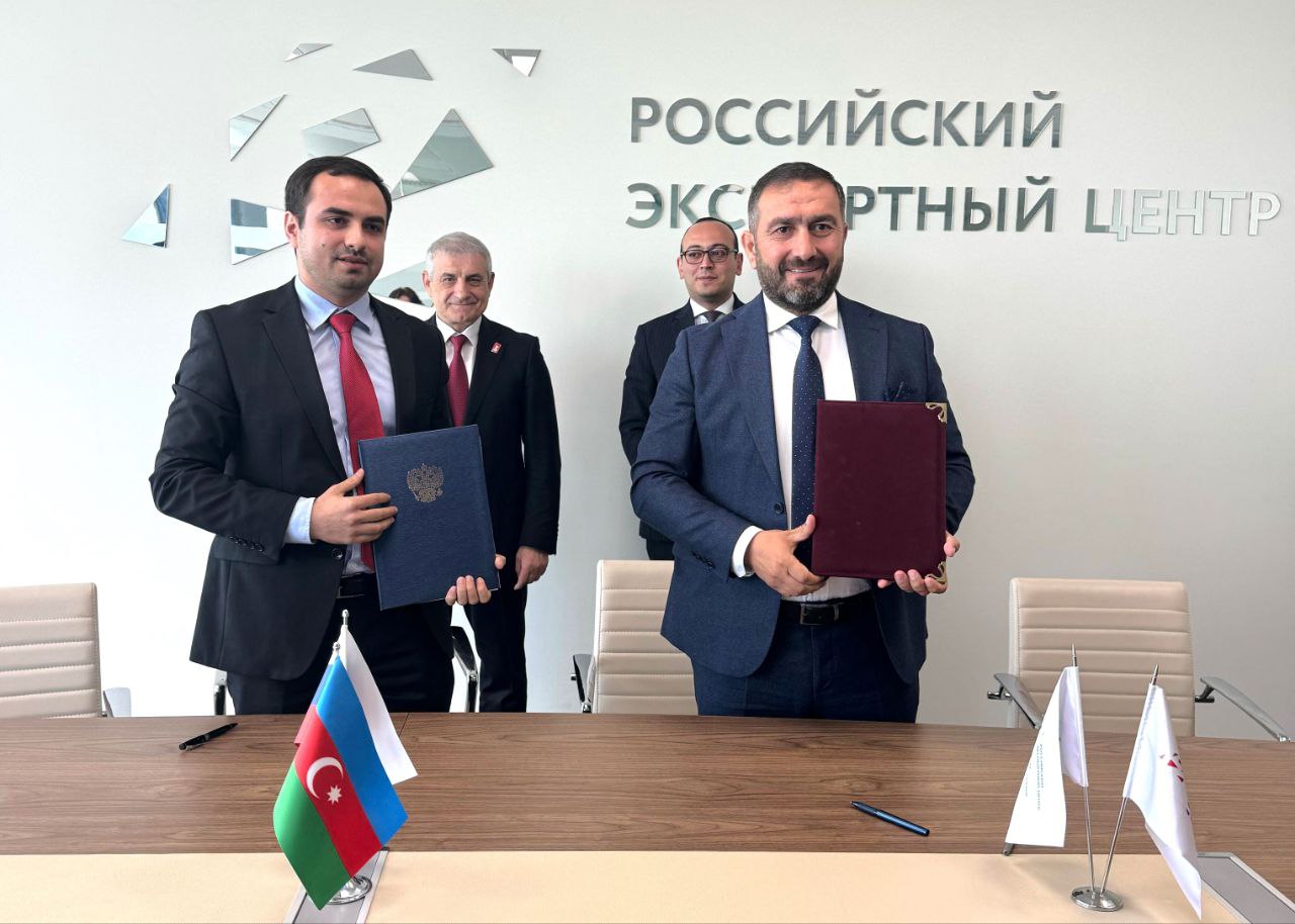 Азербайджанская компания создаст в Дагестане оливковый сад