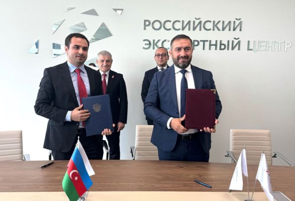 Азербайджанская компания создаст в Дагестане  оливковый сад