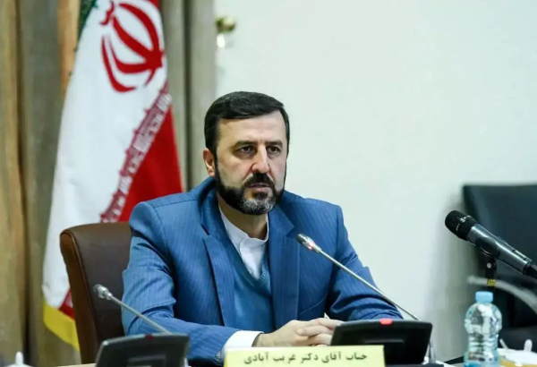Iran to respond aptly to Europe's possible "snapback" mechanism - deputy minister