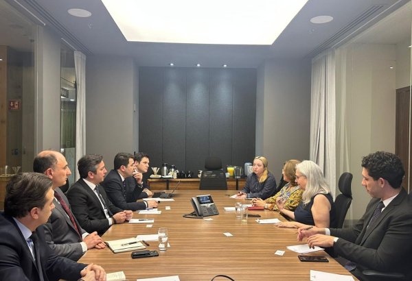 Azerbaijan, Mexico discuss cooperation to combat climate change (PHOTO)