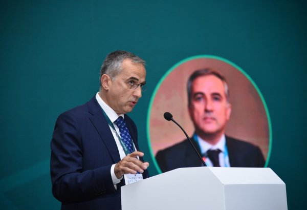 Islamophobia poses serious threat to global stability - chairman