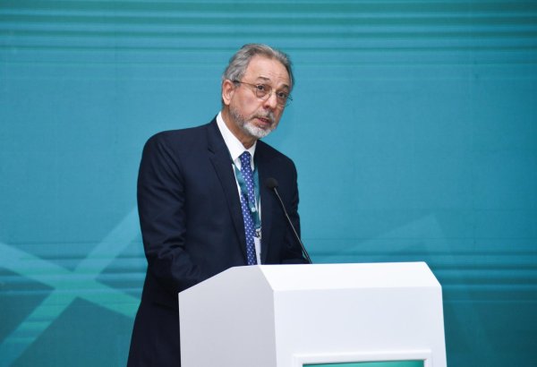 OIC commends Azerbaijan's commitment to combating islamophobia