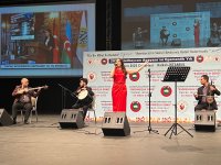 В Стамбуле прошло мероприятие по случаю Дня независимости Азербайджана (ФОТО)