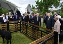 Президент Ильхам Алиев, Президент Реджеп Тайип Эрдоган и премьер-министр Мухаммад Шахбаз Шариф побывали в прогулочной зоне в городе Лачин (ФОТО/ВИДЕО)