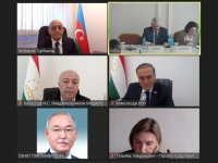 Депутаты Милли Меджлиса Азербайджана приняли участие в заседаниях комиссий ПА СНГ (ФОТО)