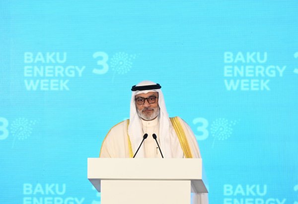 Renewables key but oil and gas needed for stable power, says OPEC chief