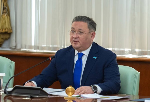 Kazakhstan government denies rumors of FM Nurtleu's detention