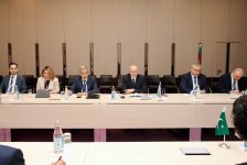Обсуждены перспективы сотрудничества Азербайджана и Пакистана в энергетической сфере (ФОТО)