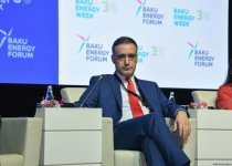 Прошел первый день Бакинского энергетического форума (ФОТО)