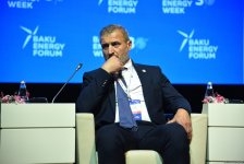 Прошел первый день Бакинского энергетического форума (ФОТО)