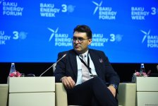 Прошел первый день Бакинского энергетического форума (ФОТО)