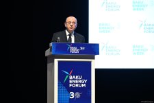 Прошел первый день Бакинского энергетического форума (ФОТО)