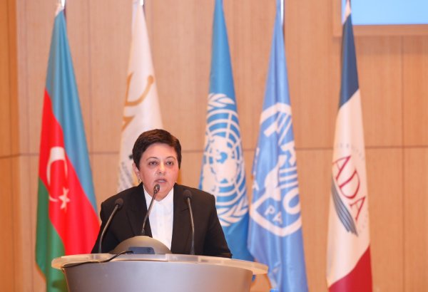 Azerbaijan developing new program project on food safety - official