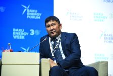 Прошел второй день Бакинского энергетического форума (ФОТО)