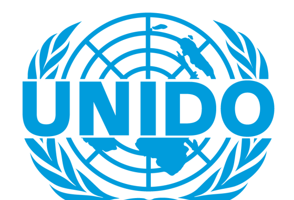 Turkmenistan and UNIDO wheel and deal ahead of LLDC3 conference
