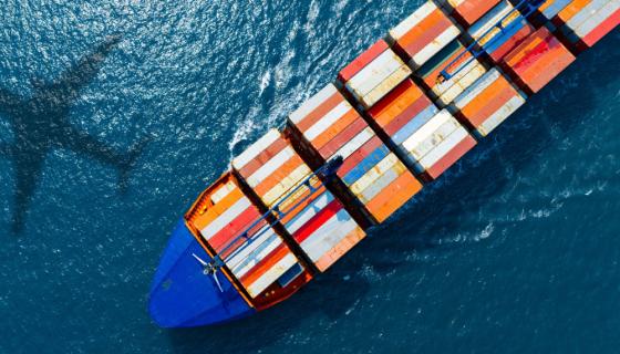 Uzbekistan tops developed nations in trade facilitation, UN report says