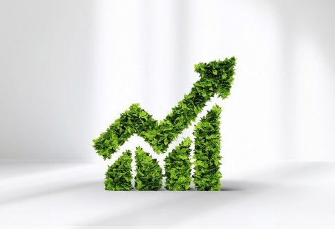 Georgian economy picking up steam in 3Q2025, with business sector performance rocketing