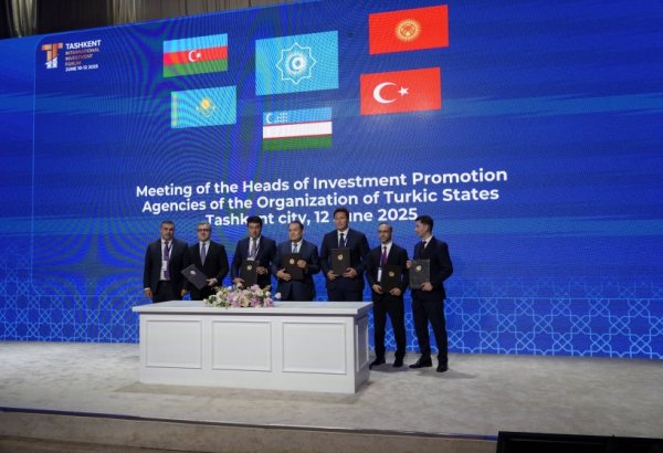 Turkic states launch Turkic Investment Promotion Network