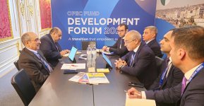 В рамках форума Международного фонда развития ОПЕК обсуждены экономические приоритеты Азербайджана (ФОТО)