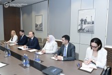 Обсуждено партнерство Азербайджана и Северной Македонии по направлениям ВИЭ (ФОТО)