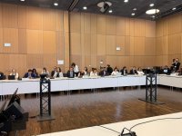 Азербайджанская дипломатия в области климата и мира получает широкую международную поддержку (ФОТО)