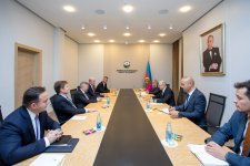 Обсуждено развитие энергетического партнерства Азербайджана с bp (ФОТО)