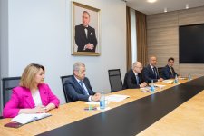 Обсуждено развитие энергетического партнерства Азербайджана с bp (ФОТО)
