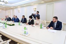 Обсуждено парламентское сотрудничество между Азербайджаном и Грузией (ФОТО)