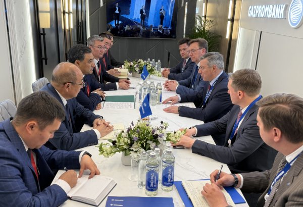 Gazprombank, Kyrgyzstan discuss application of contract banking support mechanism