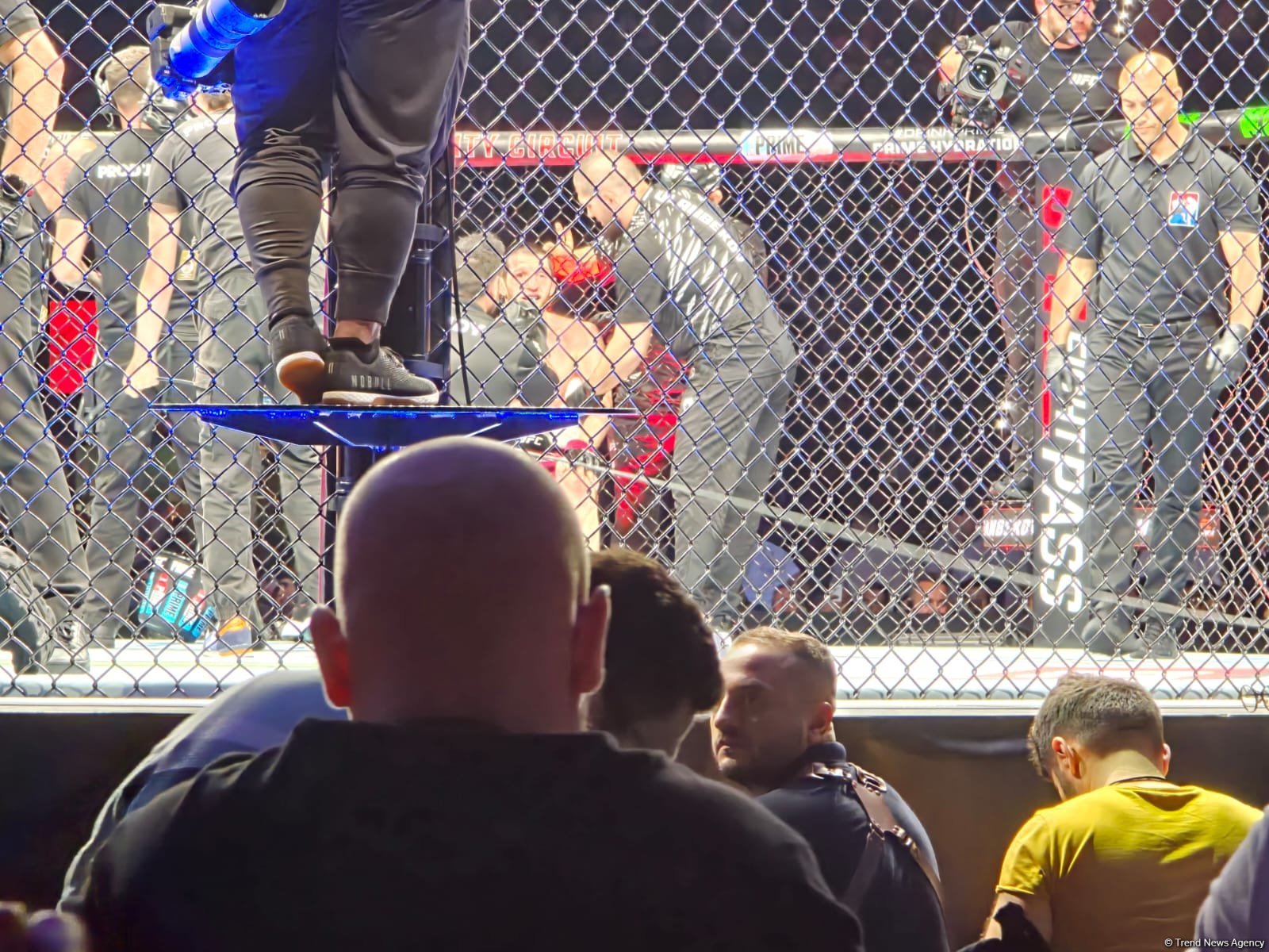 В Баку стартовало одно из самых зрелищных спортивных событий года UFC Fight Night (ПРЯМАЯ ТРАНСЛЯЦИЯ/ФОТО)