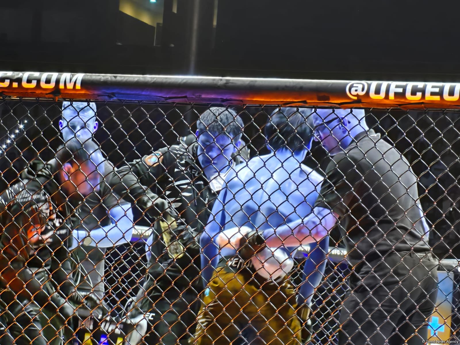 В Баку стартовало одно из самых зрелищных спортивных событий года UFC Fight Night (ПРЯМАЯ ТРАНСЛЯЦИЯ/ФОТО)