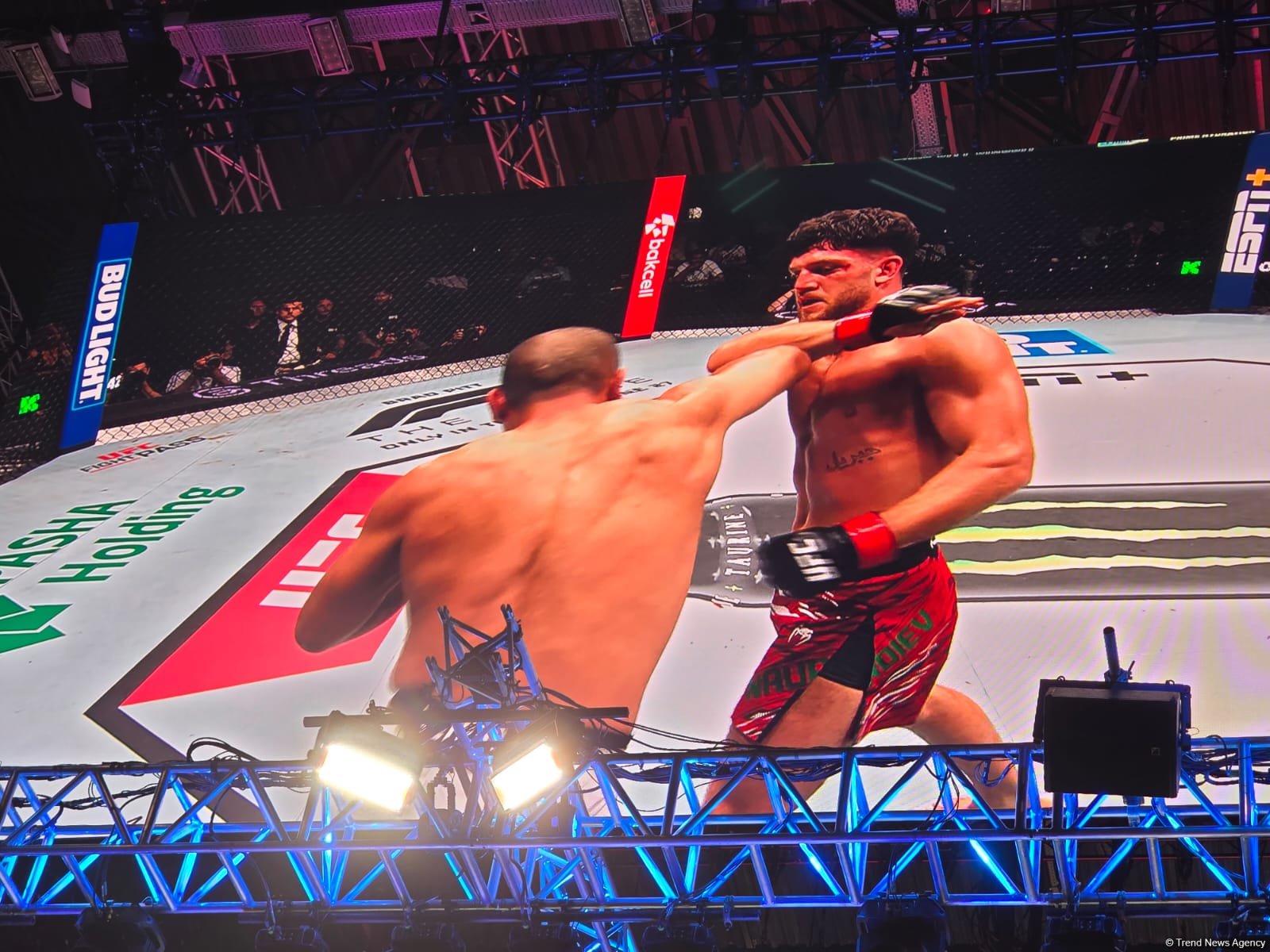 UFC Fight Night: Определился победитель предварительного карда в среднем весе между бойцами из Марокко и Южной Кореи (ФОТО)