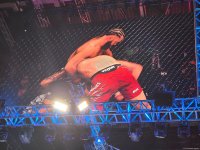 UFC Fight Night: Боец из Азербайджана Рафаэль Физиев стал победителем основного карда в легком весе (ФОТО)