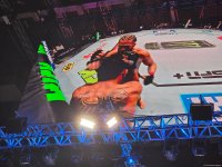 UFC Fight Night: Боец из Азербайджана Рафаэль Физиев стал победителем основного карда в легком весе (ФОТО)