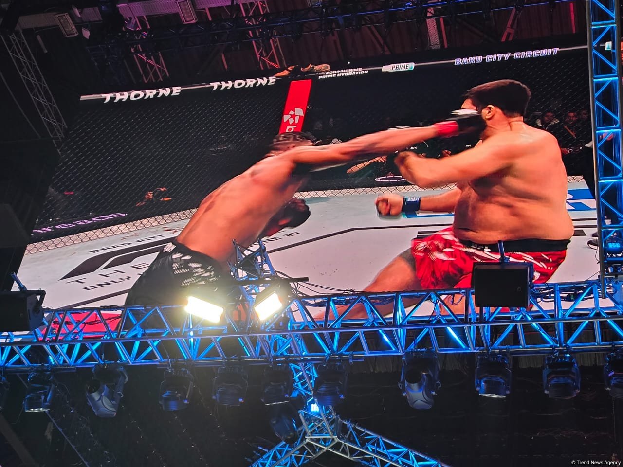 UFC Fight Night: Определился победитель основного карда в тяжелом весе между бойцами США и России (ФОТО)