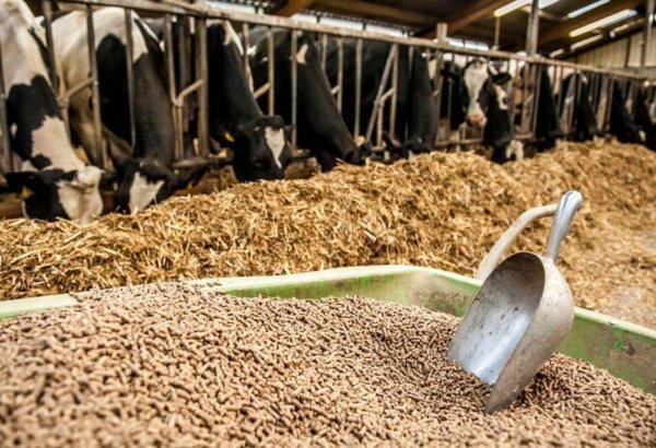 Kazakhstan’s Zhambyl region to launch new feed meal plant by 2026