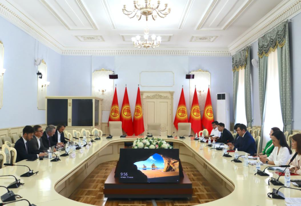 Kyrgyzstan, Moody’s hold talks on country's economic growth