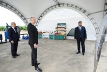 Президент Ильхам Алиев принял участие в открытии Евлахского пилотного агропарка (ФОТО)