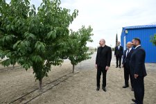 Президент Ильхам Алиев принял участие в открытии Евлахского пилотного агропарка (ФОТО)